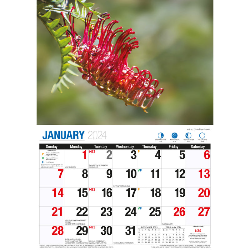 Wildflowers of Australia - 2024 Rectangle Wall Calendar 16 Months Floral Images