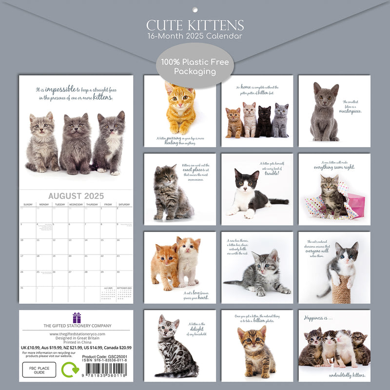 Cute Kittens - 2025 Square Wall Calendar Pets Animals 16 Months Premium Planner