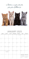 Cute Kittens - 2025 Square Wall Calendar Pets Animals 16 Months Premium Planner