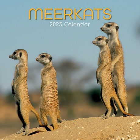 Meerkats - 2025 Square Wall Calendar Pets Animals 16 Months Premium Planner Gift