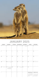 Meerkats - 2025 Square Wall Calendar Pets Animals 16 Months Premium Planner Gift