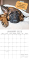 Dog Shaming 2025 Square Wall Calendar Pets Animals 16-Month Premium Planner Gift