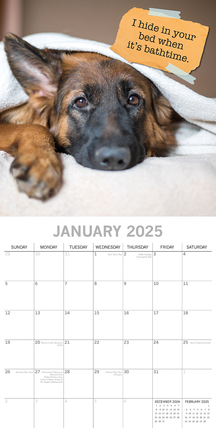 Dog Shaming 2025 Square Wall Calendar Pets Animals 16-Month Premium Planner Gift