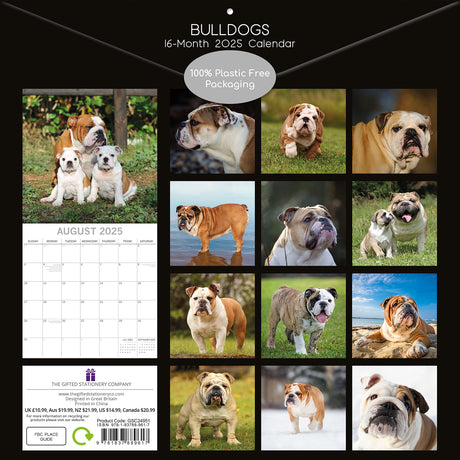 Bulldogs - 2025 Square Wall Calendar Dogs Pets Animals 16 Months Premium Planner