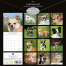 Chihuahuas 2025 Square Wall Calendar Dogs Pets Animals 16 Months Premium Planner