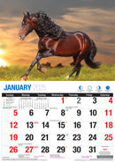 Horses - 2025 Rectangle Wall Calendar 16 Months Animal Planner New Year Gift