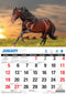 Horses - 2025 Rectangle Wall Calendar 16 Months Animal Planner New Year Gift