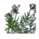 Faux Wormwood Flower Stem