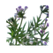 Faux Wormwood Flower Stem