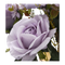 Faux Light Purple Rose/Blueberry Flower Stem