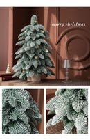 55cm Frosted Mini Christmas Tree – Snow-Covered Indoor Holiday Decoration