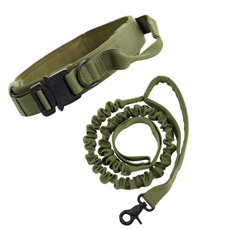 XL Green Hands-Free Dog Leash with Adjustable Waist Belt - Shock Absorbing Bungee Lead