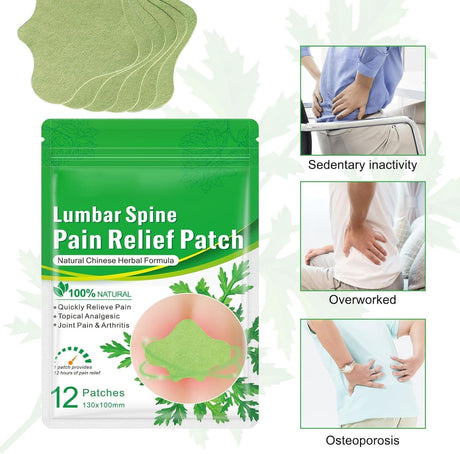 Flexiback Lumbar Spine Pain Relief Patch, Heat Long-Lasting (36pcs/3box)