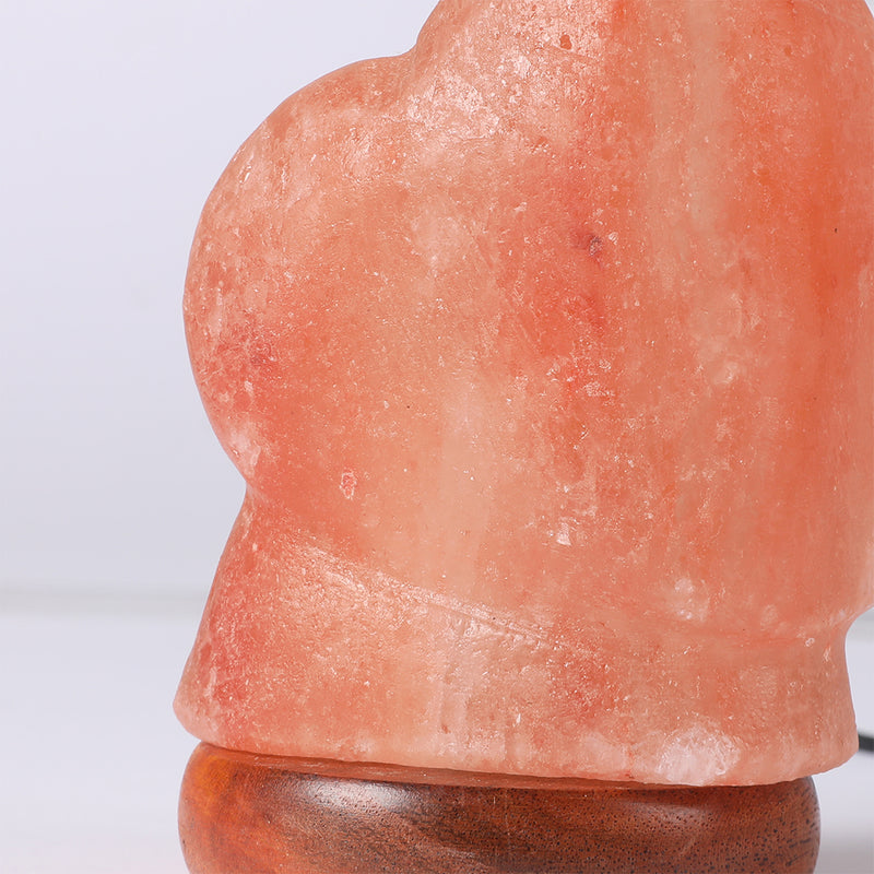 Himalayan Love Shape Salt Lamp Led Usb Color Changing