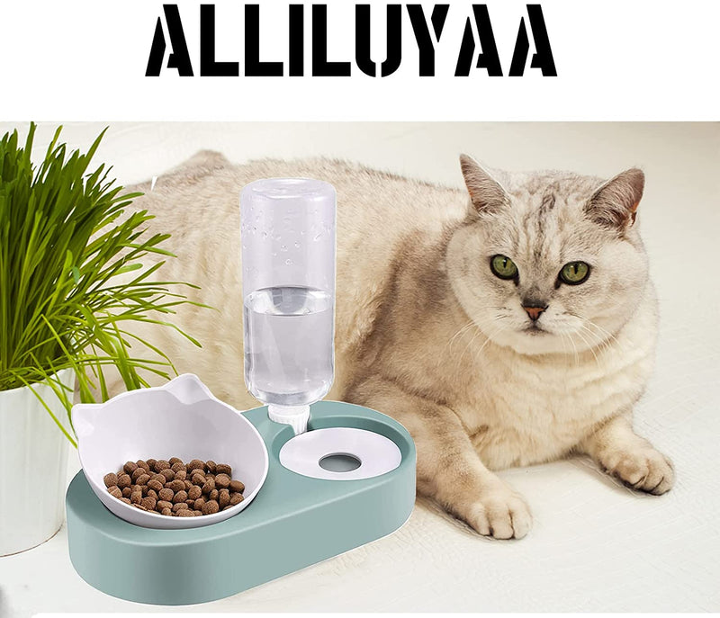 Tilted Cat Food Water Bowl,Elevated Cat Double Bowl,Angled 15°Cute Cat Feeding Bowl Set,No Spill Cat Bowl Raised Stand with Automatic Waterer Bottle,Slow Feeder Bowl for Kitten and Small Pet Dogs