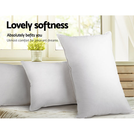 Giselle Bedding Set of 2 Goose Feather and Down Pillow - White