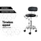 Artiss 2X Salon Stool Swivel Backrest Chair Barber Hairdressing Hydraulic Height