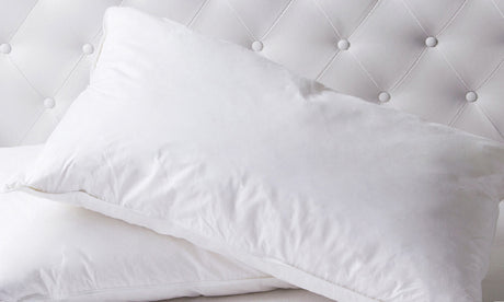 Duck Feather & Down Quilt 500GSM + Duck Feather and Down Pillows 2 Pack Combo - Double - White