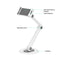 activiva Universal iPad & Tablet Tabletop Stand