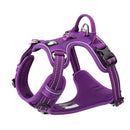 No Pull Harness Purple L