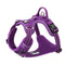 No Pull Harness Purple XL