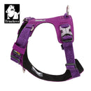 Lightweight Harness Purple 2XS