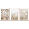 50cmx70cm Dried Flower 3 Sets Wood Frame Canvas Wall Art