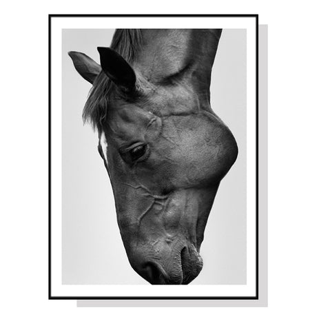 60cmx90cm Modern Black Horse Black Frame Canvas Wall Art