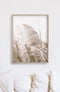 40cmx60cm Pampas Grass 2 Sets Wood Frame Canvas Wall Art