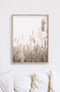 40cmx60cm Pampas Grass 2 Sets Wood Frame Canvas Wall Art