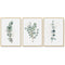 40cmx60cm Eucalyptus Plant 3 Sets Gold Frame Canvas Wall Art