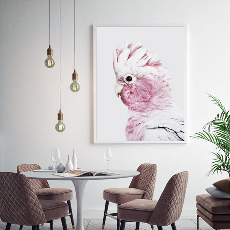 50cmx70cm Pink Galah White Frame Canvas Wall Art