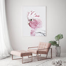 50cmx70cm Pink Galah White Frame Canvas Wall Art