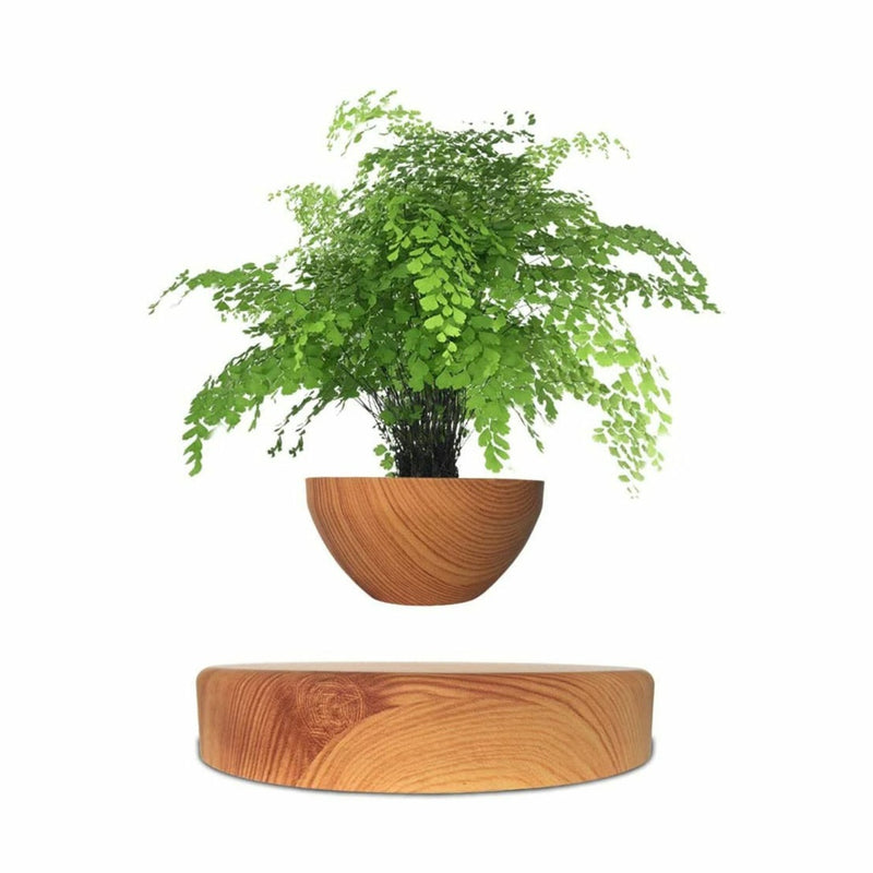 Magnetic Levitating Plant Pot Oak GO-MLP-108-HCNT