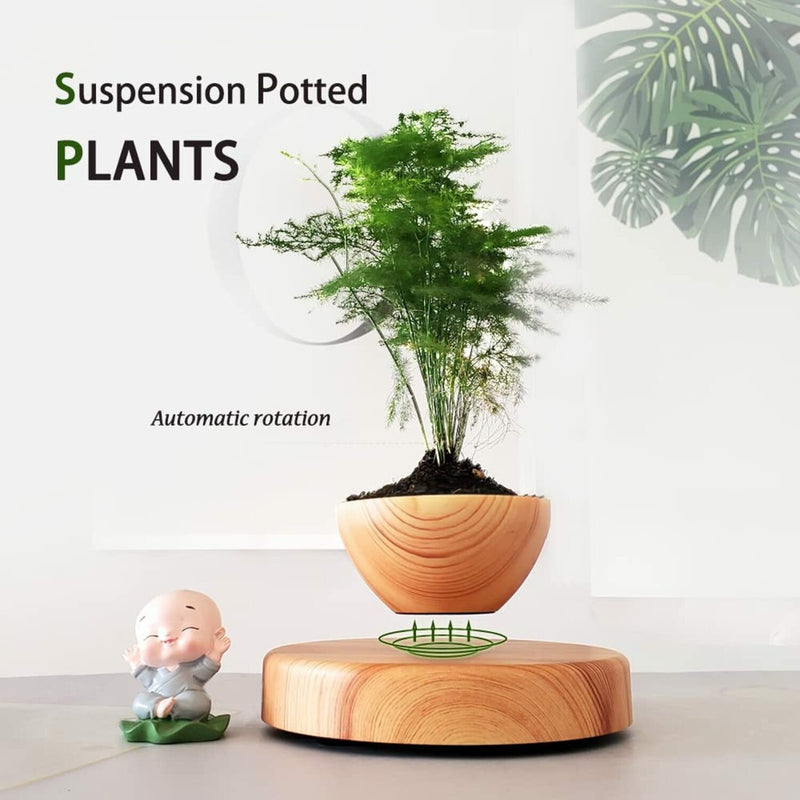 Magnetic Levitating Plant Pot Oak GO-MLP-108-HCNT