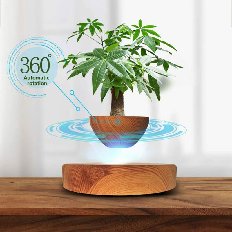 Magnetic Levitating Plant Pot Oak GO-MLP-108-HCNT