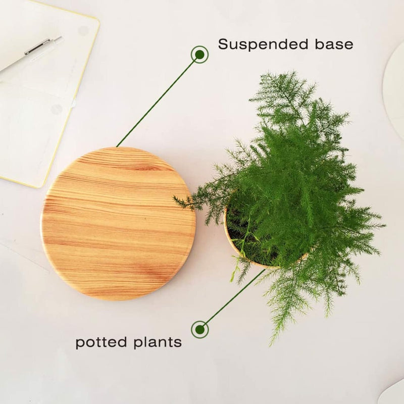 Magnetic Levitating Plant Pot Oak GO-MLP-108-HCNT