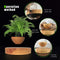 Magnetic Levitating Plant Pot Oak GO-MLP-108-HCNT