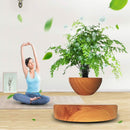 Magnetic Levitating Plant Pot Oak GO-MLP-108-HCNT