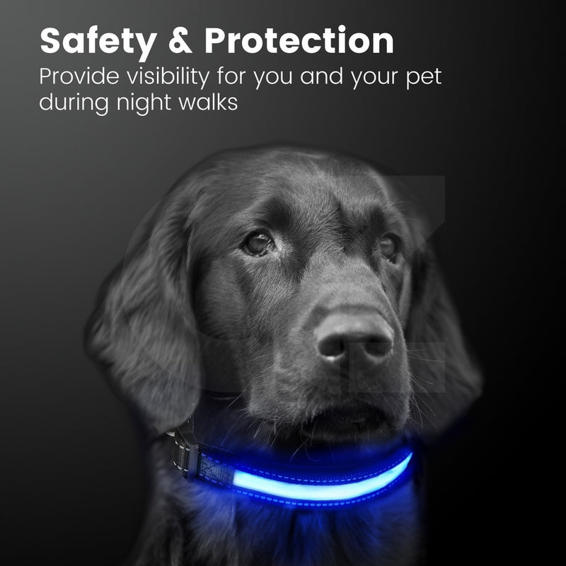 Floofi Solar USB Rechargable LED Dog Collar (M Blue) - PT-DC-136-QQQ