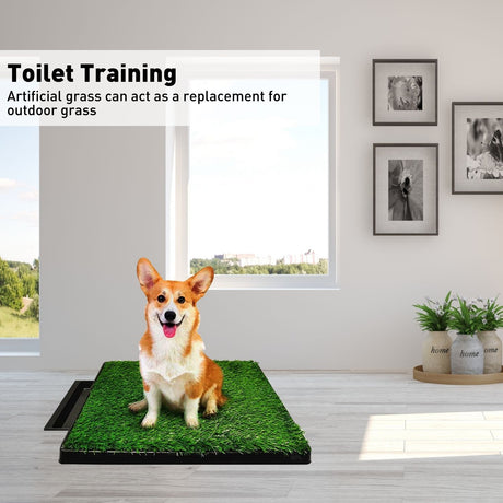 Floofi Pet Grass Training Potty PT-LM-109-FE / PT-LM-109-JL