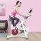 Yesoul S3 Indoor Cycling Bike White YS-001 White