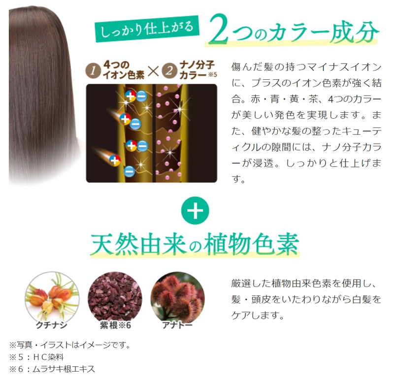 [6-PACK] Rishiri Kombu White Hair Hair Dye Stick 20g Dark Brown