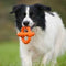 Major Dog Octopus Retrieval Ball - Small - Fetch Toy