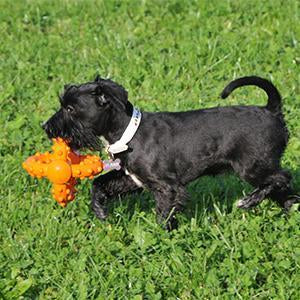 Major Dog Octopus Retrieval Ball - Large - Fetch Toy