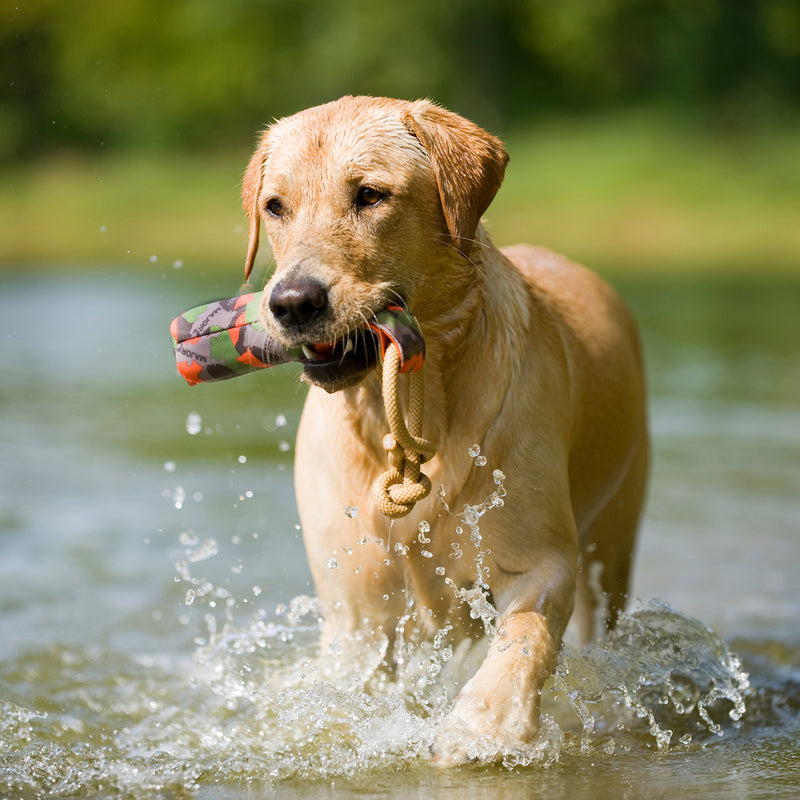 Major Dog Buoy Dummy - large - Fetch Toy