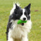 Major Dog Zucchini Treat Toy