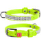 Waudog Leather Dog Collar with Crystals 19-25CM GREEN