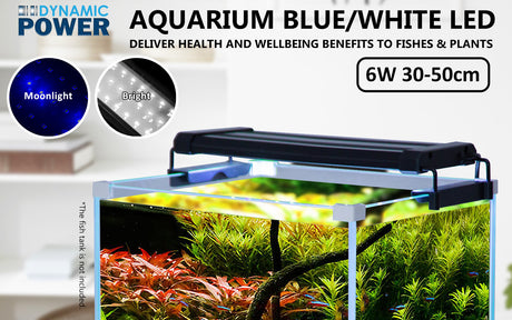 Dynamic Power 6W Aquarium Blue White LED Light for Tank 30-50cm