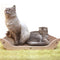 Yaomi Wood Angel Cat Scratcher Sofa Pet Bed